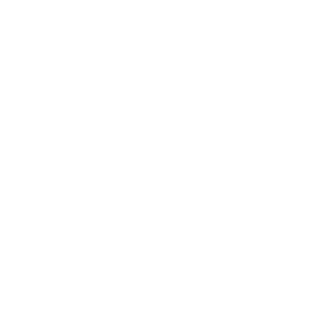 blundstone_sq